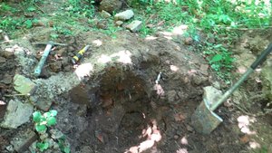 На лесном фундаменте. Серебро, перстни, монеты.