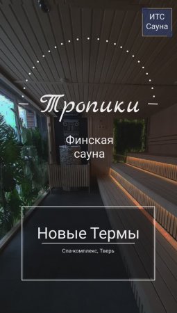 Сауна со стеклом в пол и стеклянными вставками с зеленью и мхом "Тропики" - "Новые Термы", Тверь