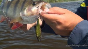 Ловля на Глубоководные Крэнки. Глубинные Приманки. Часть 2