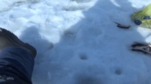 Безнасадочная мормышка для плотвы и окуня.