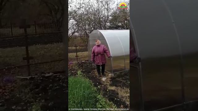 Поспеваево Теплицы В Туле Цена Купить