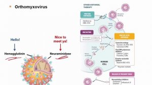 USMLE RX - 7.Микробиология - 1.Антимикробные средства - 31.Осельтамивир, занамивир