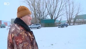 Романовские овцы на родине Тукая.