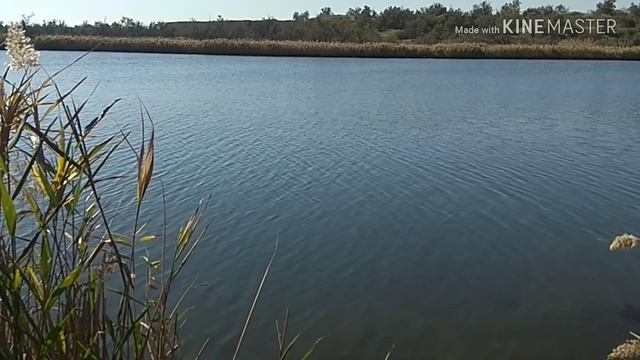 Рыбалка в городе Керчь. КЕФАЛЬ. КРЫМ смотреть онлайн