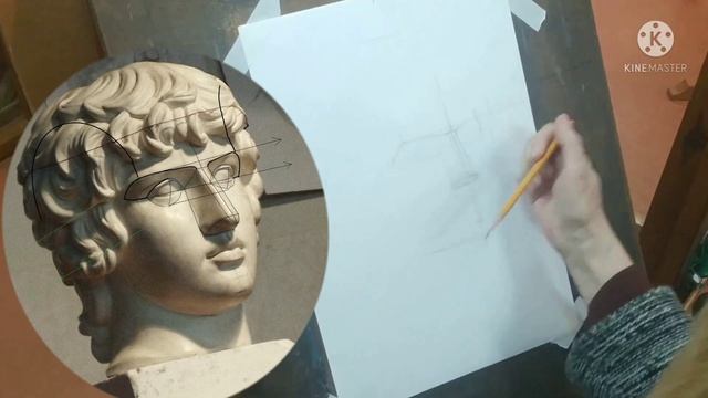 Антиной