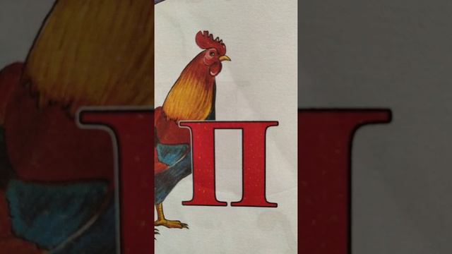 Учим буквы, учимся читать.