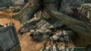 skyrim spazzing shadows (please help me fix)