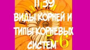 5-6 КЛАСС П 39 ВИДЫ КОРНЕЙ И ТИПЫ КОРНЕВЫХ СИСТЕМ / ЛУБ /