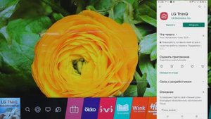 Пульт управления телевизором LG ThinQ