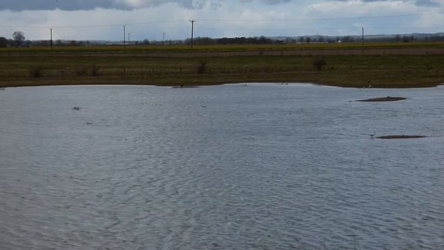 Tennyson’s Sands Panasonic LUMIX FZ72 смотреть онлайн
