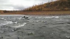 Прохождение переката на лодочном моторе tohatsu 9.8 л. с (винт)