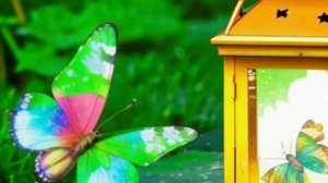 Пожелание добра - доброго вечера  - любимым