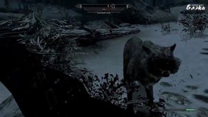 SKYRIM   серия 66 Отхватываем