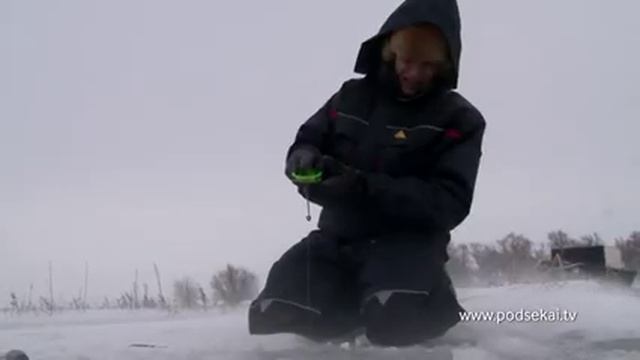 Зимняя Митинка.mp4 смотреть онлайн