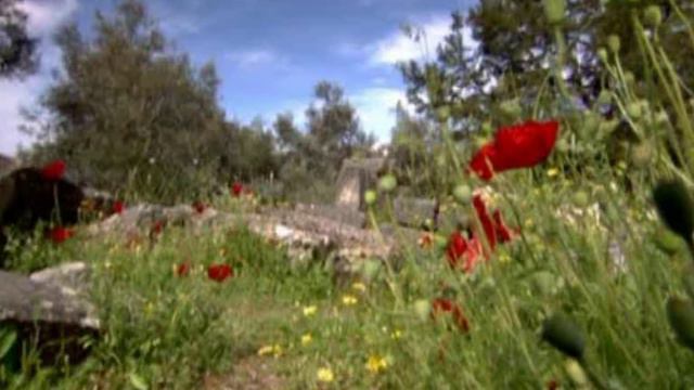Il Sabato Del Villaggio    Giacomo Leopardi   Foà