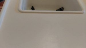 КРАСКИ ПАЛЬЧИКОВЫЕ КАЛЯКА-МАЛЯКА ОТЗЫВЫ