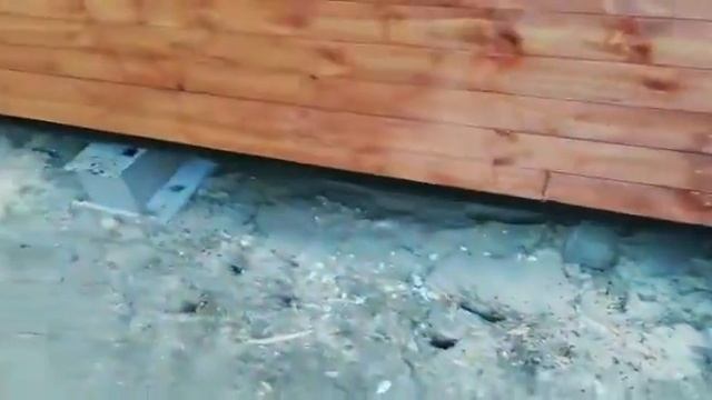 Хозблок для дачи с верандой и отдельным помещением смотреть онлайн