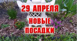 29 апреля. Новые посадки