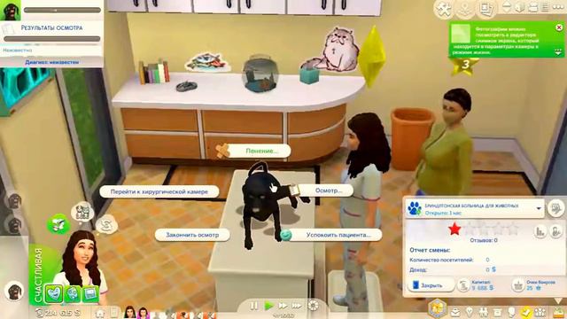 The Sims 4 питомцы дополнения 100 проблем с животными купил и клинику для питомцев №3 смотреть онлайн
