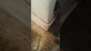 Как разжигать форсунку?Мой друг показывает девочкам,как это делать!