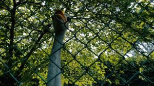 Что посмотреть в Куала-Лумпуре | Малайзия, Куала-Лумпур