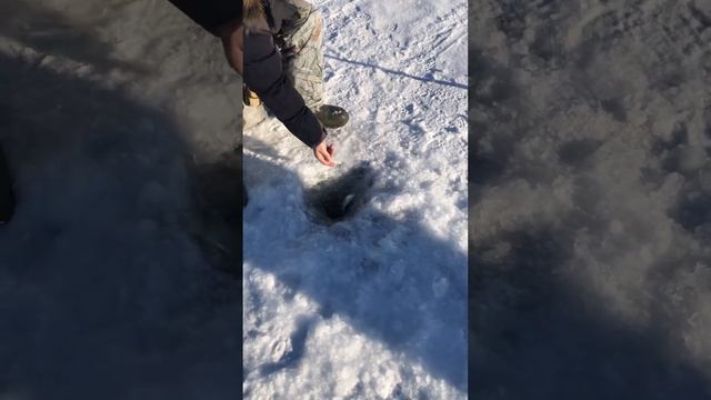 Ловим омуля на Байкале. Озеро. Бурятия. смотреть онлайн