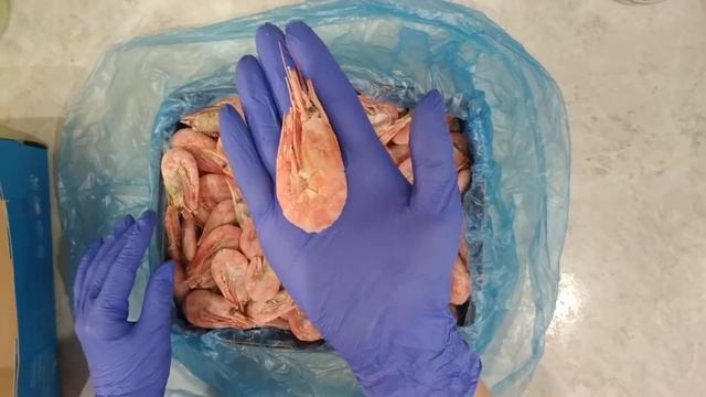 Обзор креветки 90+ смотреть онлайн