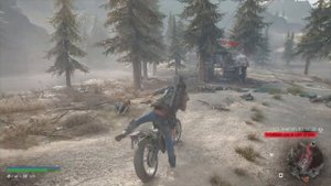 Зараженная зона на озере Пэтженс (гнезда на озере Пэтженс)