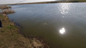 Ловля карася весной.Река Чулым.