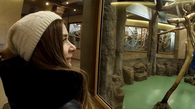 Зоопарк в Новосибирске. Обезьяна украла очки.  Обидчивый скат. Король Лев.