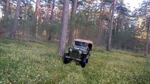 Виллис мини "Прогулка в лесу"