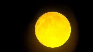 Full flower super yellow moon Tasco Telescope 60/700 mod 1 1/4 last one 2020