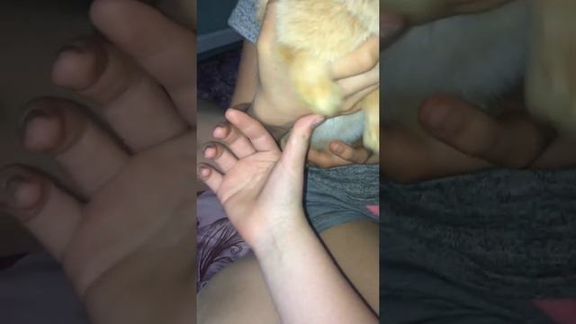 Буся смотреть онлайн