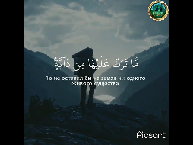 Сура 16 Ан Нахль Пчёлы 61 й аят #призывмусульман #quran #shorts