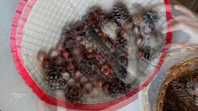 Осенний зонтик из природных материалов / Autumn umbrella made of natural materials /Творческое мест