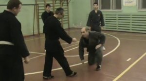 феникс джиу джитсу 40