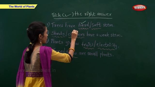 CBSE Class 2 Science : World of Plants | Class 2 Science CBSE School Syllabus Videos | NCERT