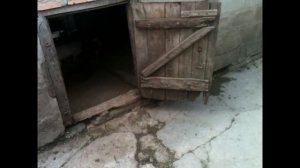 ВЫРАЩИВАНИЕ И РАЗВЕДЕНИЕ СВИНЕЙ# СОДЕРЖАНИЕ МАЛЕНЬКИХ ПОРОСЯТ# РАЦИОН ПИТАНИЯ МЕСЯЧНЫХ ПОРОСЯТ