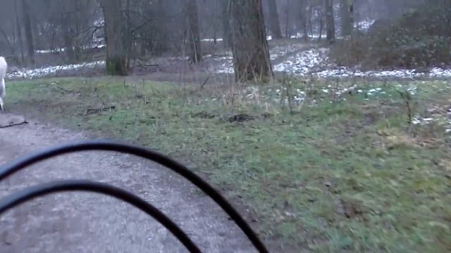 Snow the white shepherd in the Snow смотреть онлайн