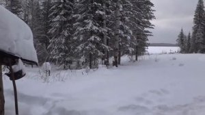 Омская Рыбалка Черталы