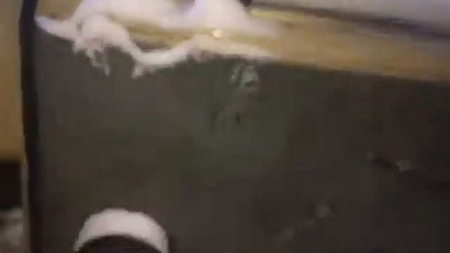 Обзор Урала изнутри)