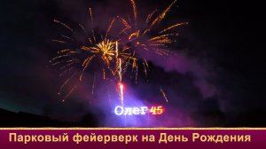 Салют на День рождения под музыку недорого от Огни в Городе