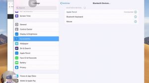 How to connect Magic Mouse to iPad Pro- Full Explanation