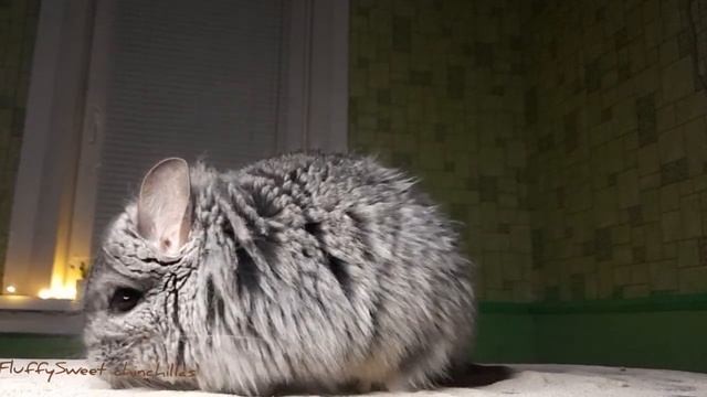 Evening dusty bath? смотреть онлайн