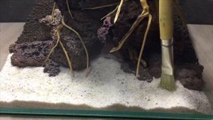 Аквариум нано-куб. Оформление своими руками.