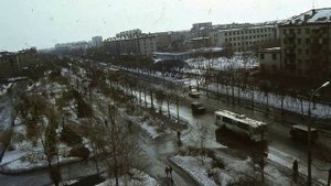 Инструкция по выживанию - белый свет