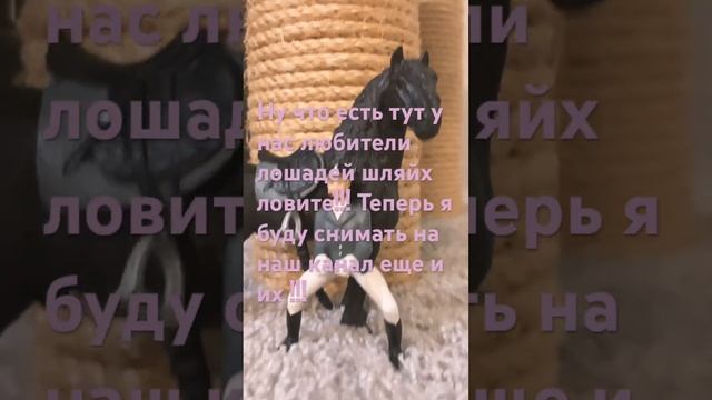 Теперь я буду еще снимать лошадей шляйх !!!