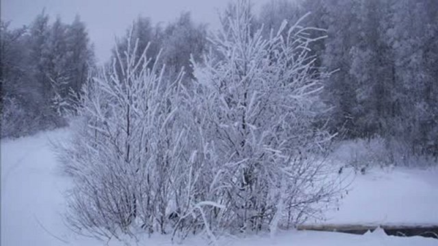 компьютерные курсы для школьников