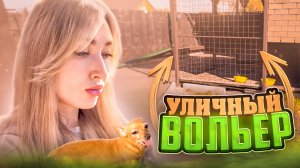 Уличный вольер и Соня