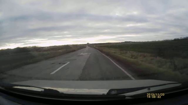 Лоси бегут!!!! смотреть онлайн